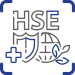 HSE CONSULTING